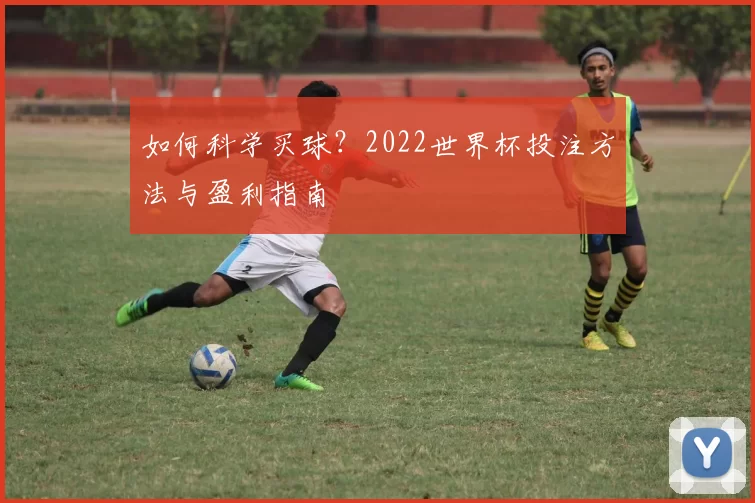 如何科学买球?2022世界杯投注方法与盈利指南