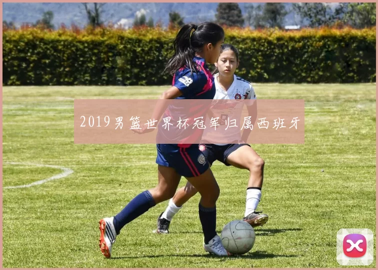 2019男篮世界杯冠军归属西班牙