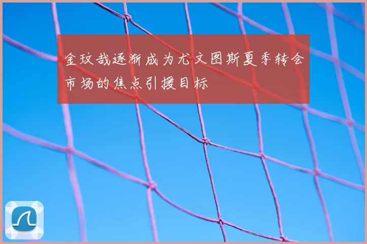 金玟哉逐渐成为尤文图斯夏季转会市场的焦点引援目标