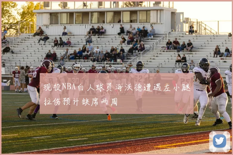 现役NBA白人球员海沃德遭遇左小腿拉伤预计缺席两周